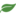 Medium