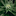 Yes! Cannabis!