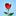 Silicon Florist
