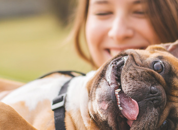 FetchFind - Come for the pets, Stay for the Tech