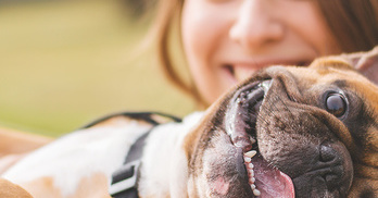 FetchFind - Come for the pets, Stay for the Tech