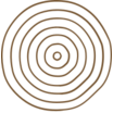 Logo of Earth Funeral