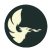 Logo of Phoenix Boring