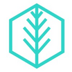 Logo of Paradigm Evergreen