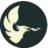 Logo of Phoenix Boring II