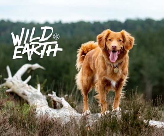 Featured image of Wild Earth