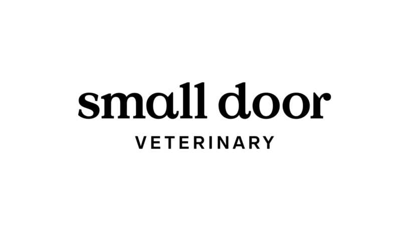 Featured image of Small Door