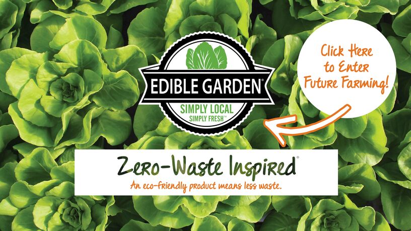 Featured image of Edible Garden
