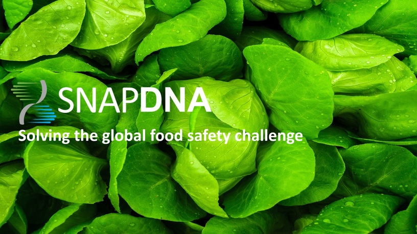 Featured image of SnapDNA