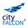 CityFALCON