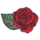 Rose Sisters Chips