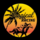 Tropical Racing