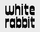 White Rabbit