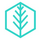 Paradigm Evergreen