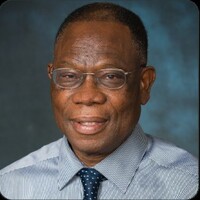 Profile picture of Dr. James K. Dzandu