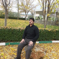 Profile picture of Amin (Hormoz) Ch 