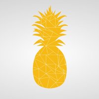 Profile picture of Pineapple team