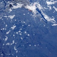 Profile picture of Russell Schaeffer