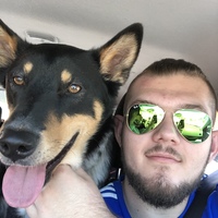Profile picture of Ilija Dimovski