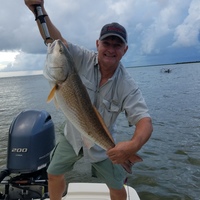 Profile picture of Paul Pousson