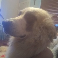 Profile picture of colby brunson