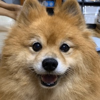 Profile picture of Bernadette Tayao