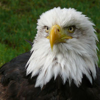 Profile picture of Rick Hatley