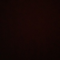Profile picture of Orion Juveland
