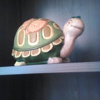 Profile picture of Ben Ibach