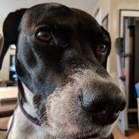 Profile picture of Stephen Meier