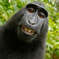 Profile picture of Daniel Boggs
