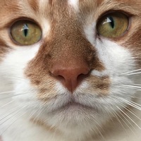 Profile picture of Nancy Elizabeth Spittle