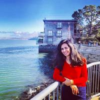 Profile picture of Navneet Dhull