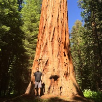 Profile picture of Timothy Luckow