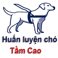 Profile picture of huanluyencho tamcao