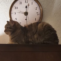 Profile picture of Michelle Cone