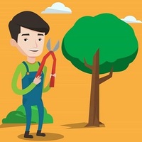 Profile picture of Norwalk Tree Service