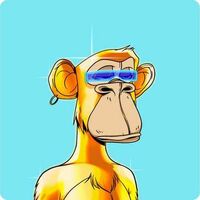 Profile picture of Hicham Hajhamou