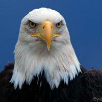 Profile picture of Michael Rakow