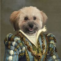 Profile picture of Dennis Viera