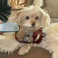 Profile picture of Duchess Dale