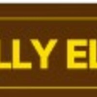 Profile picture of Red Lilly Electric