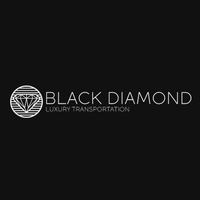 Profile picture of blckdiamndlxrytrans ...