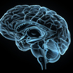 Profile picture of Neurocognitive Therapeutics LLC