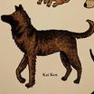Profile picture of Kai-Yu Huang