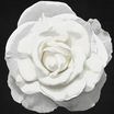 Profile picture of Pamela Cederquist