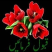 Profile picture of Ebrarali Khan
