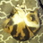 Profile picture of Denise Nelson