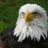 Profile picture of Rick Hatley