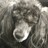 Profile picture of Ronald Viemont